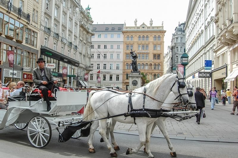 Moving around Vienna underground, trams, buses and more