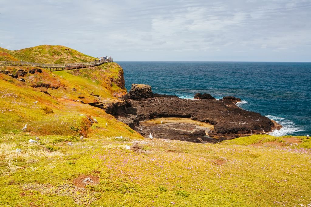 Nobbies Rock Formations