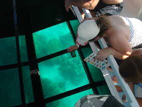 Hawaii Glass Bottom Boat Tours