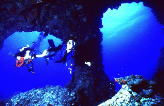 Scuba Dive in Hawaii