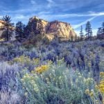 7-Day Zion National Park, Horseshoe Bend, Grand Canyon West and Bryce Canyon Tour