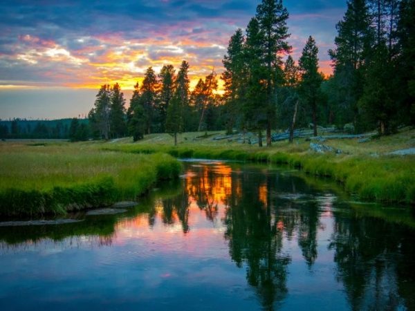 11 Day Best of West National Parks Tour - Las Vegas to San Francisco