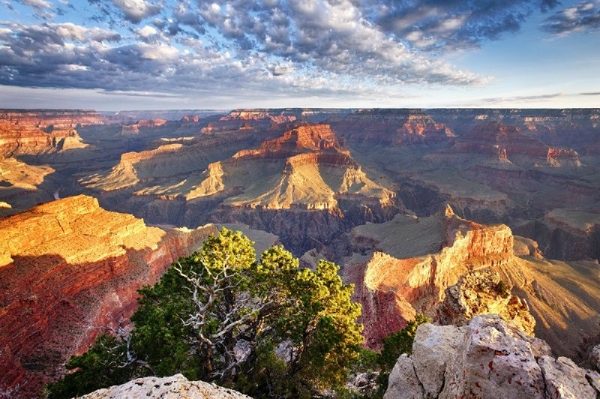 1-Day Bus Tour to Grand Canyon South Rim National Park from Las Vegas