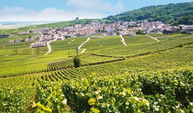 Champagne Vineyards and Cellars Day Trip From Paris