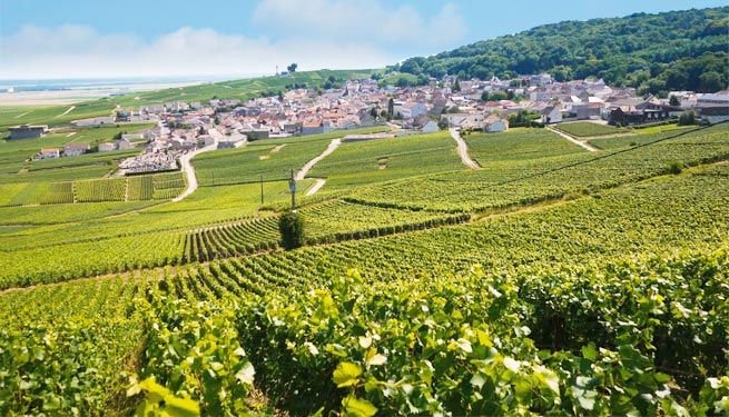 Champagne Vineyards and Cellars Day Trip From Paris