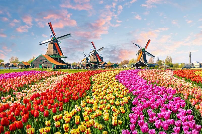 6-Day Central and Western Europe Holiday: Prague to Amsterdam