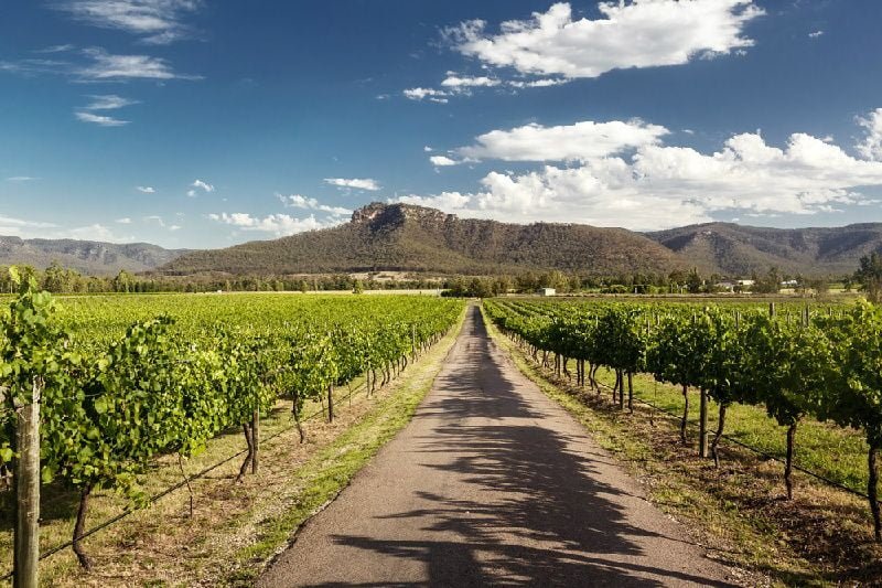 Hunter Valley Wine and Wildlife Tour from Sydney