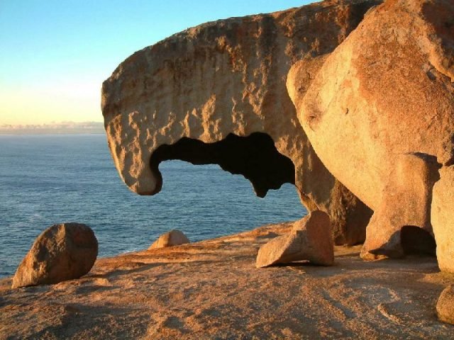 Kangaroo Island Tour