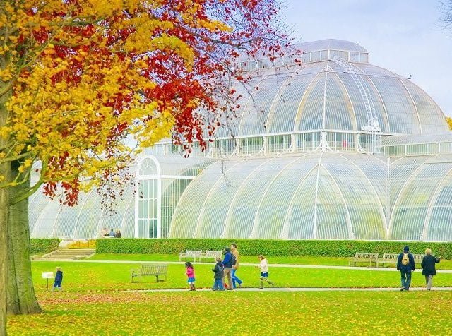 Kew Gardens Admission Ticket