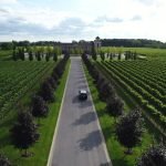 Private Niagara Wine Tour From Toronto
