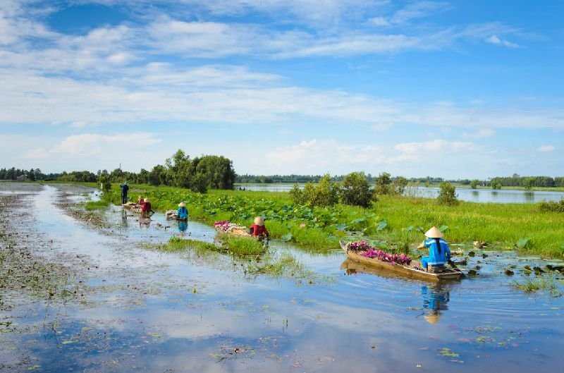 Mekong Delta Small-Group Tour With Vinh Trang Pagoda & Rowing Boat