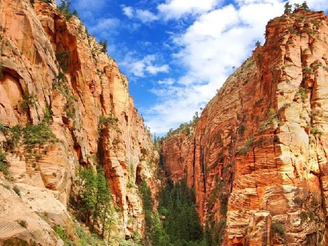 Private Zion National Park Fully Customizable Group Tour