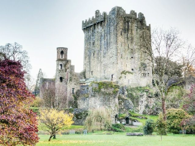 Blarney Castle and Rock of Cashel Small Group Tour from Dublin