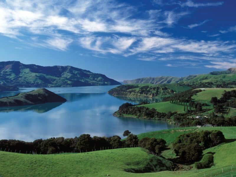 Christchurch Sightseeing With Farm Day Tour From Akaroa