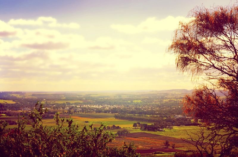 Barossa & Hahndorf Highlights One-Day Tour