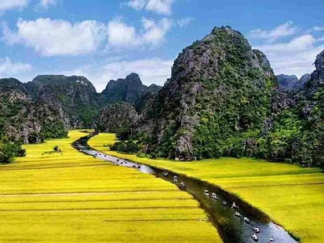 1-Day Hoa Lu Tam Coc Tour From Hanoi