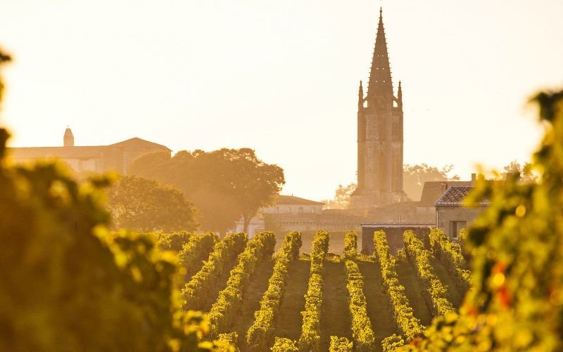 Bordeaux and Saint-Emilion Wine Tour from Paris by Train