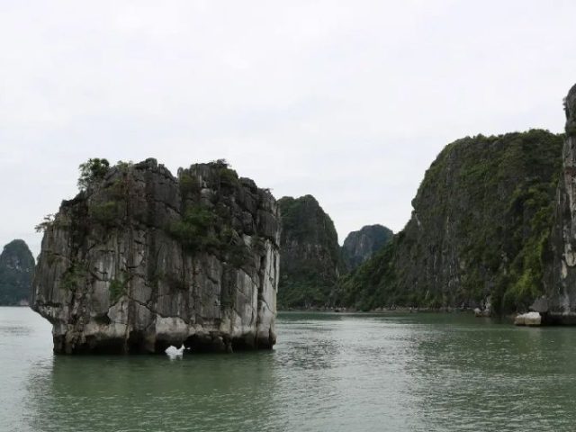 1-Day Halong Bay Day Tour from Hanoi
