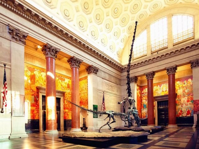 American Museum of Natural History