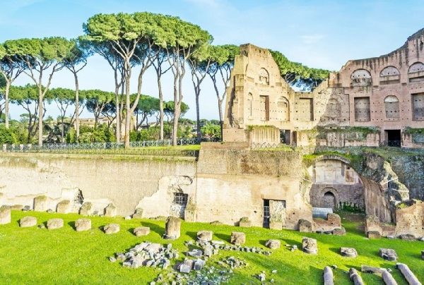 3-Hour Colosseum Tour with Roman Forum and Palatine Hill