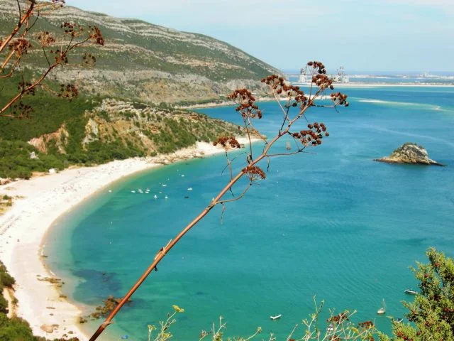 Arrabida Day Trip from Lisbon with Wine Tasting