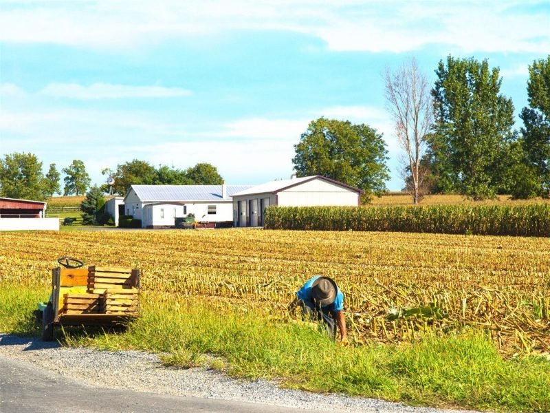 Philadelphia and Amish Country Day Trip from New York