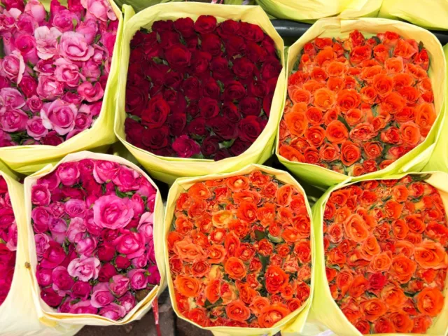 Bangkok Flower Market (Pak Khlong Talat)