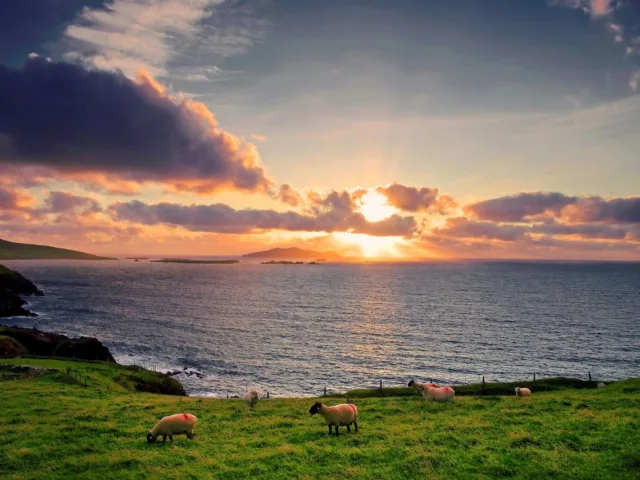 Dingle Peninsula, Ireland