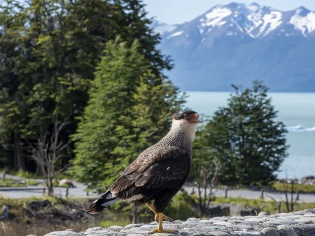 El Calafate, Argentina