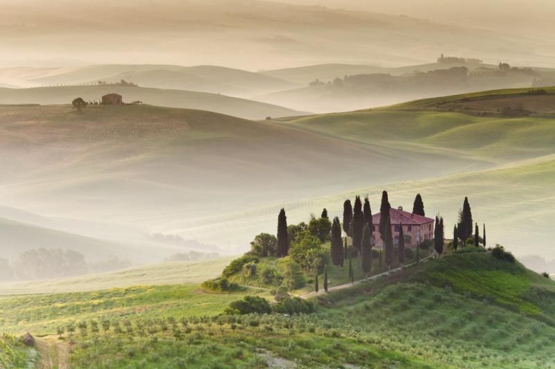 Delectable Chianti Wine Tour from Florence