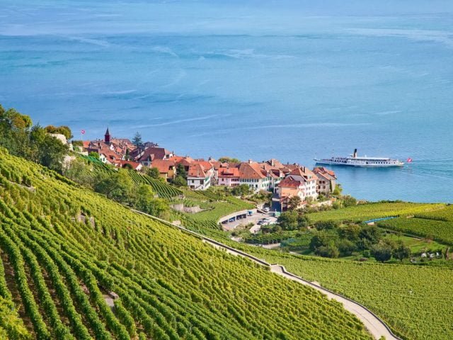 Lavaux