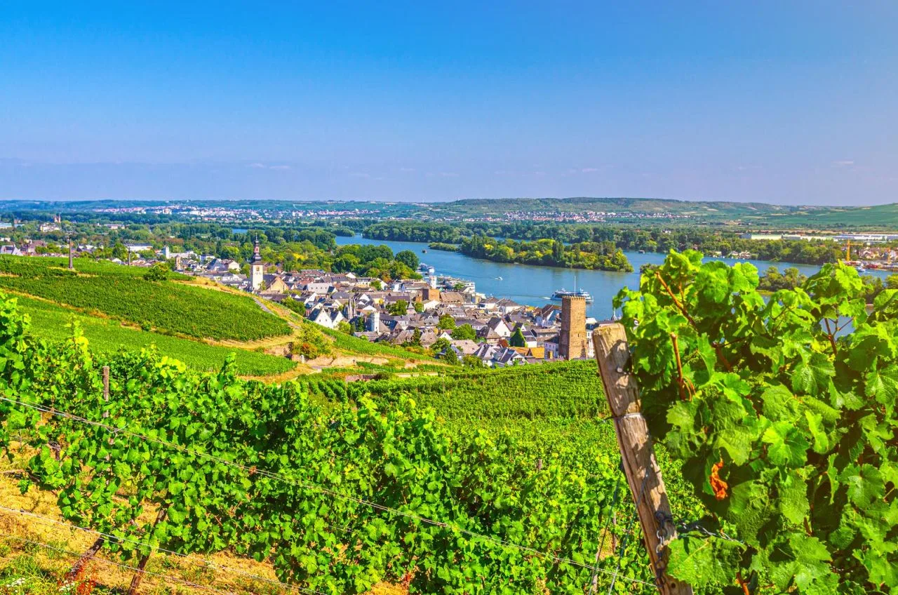 Rhine Valley, what to see and do