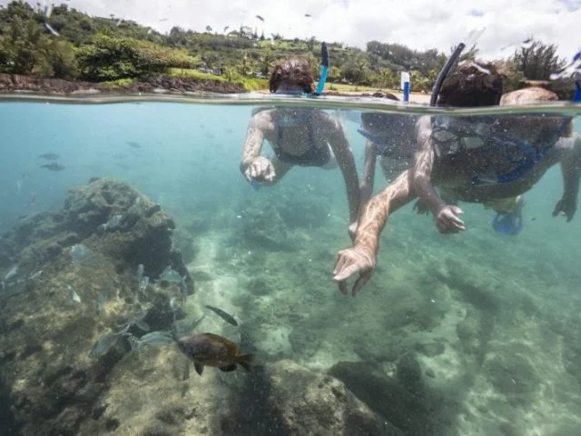 Big Island Snorkel Adventure