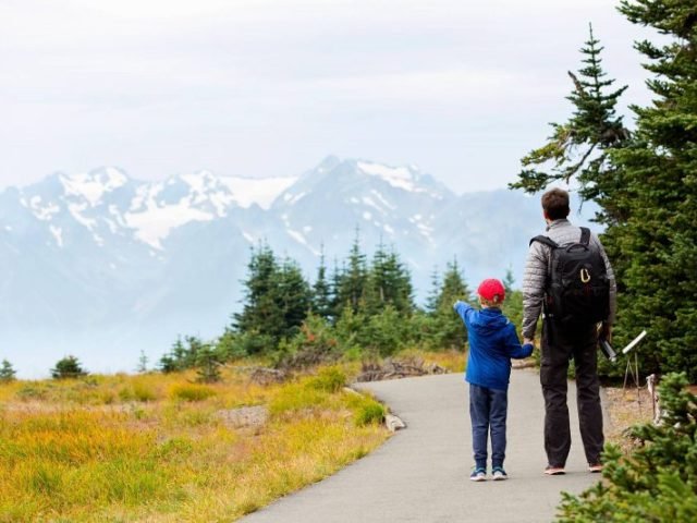 1-Day Excursion to Olympic National Park