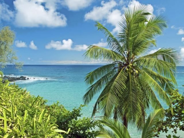 1-Day Heavenly Hana Adventure Tour