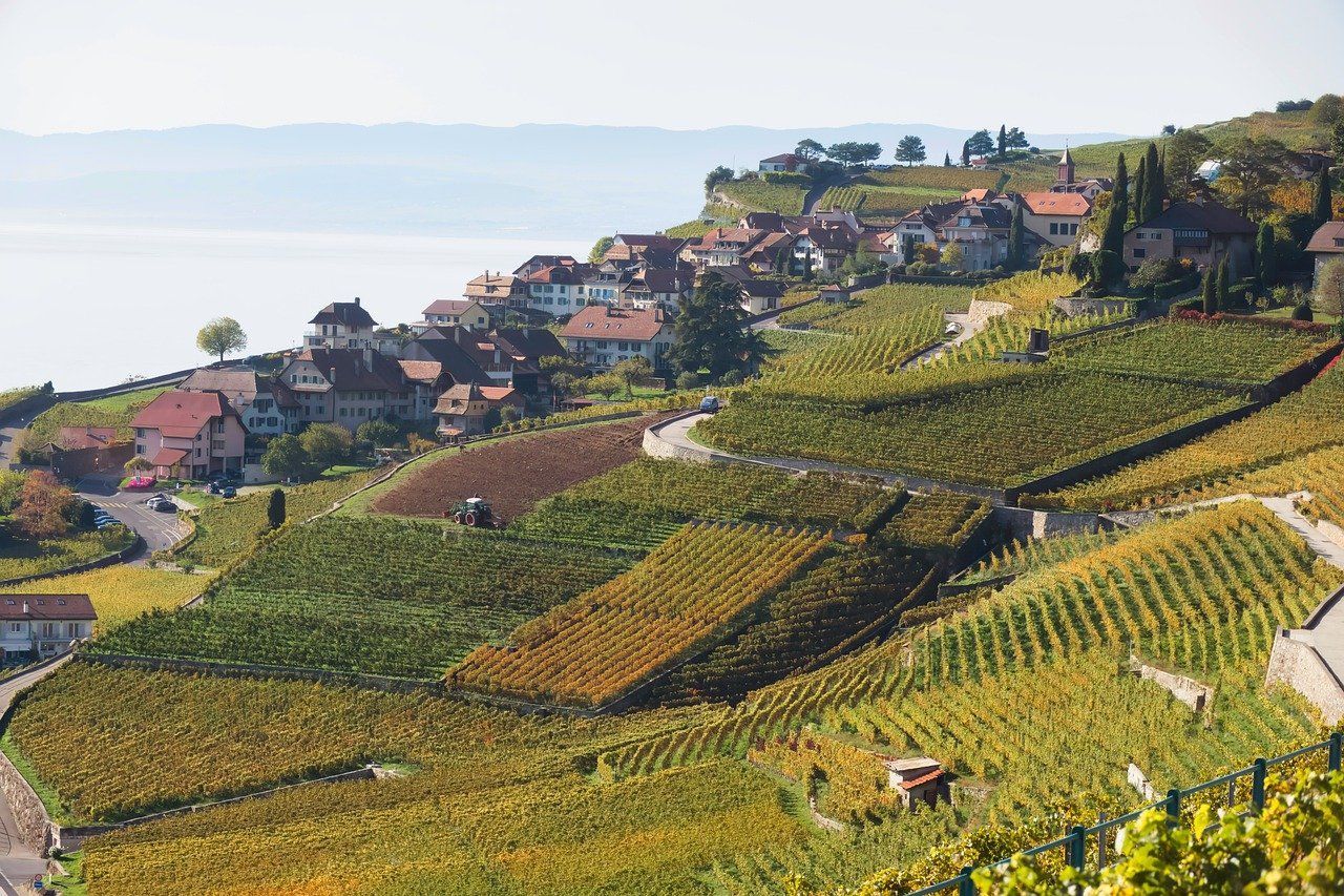 Top 10+ things to see and do in Lausanne