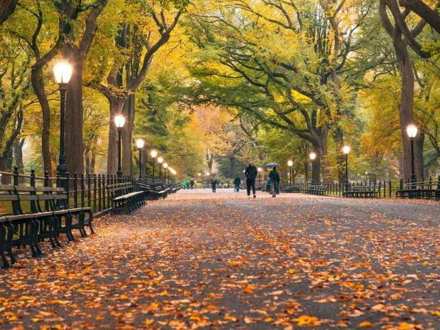 Self Guided "Central Park Movie Tour" Solo Walking Tour in New York City