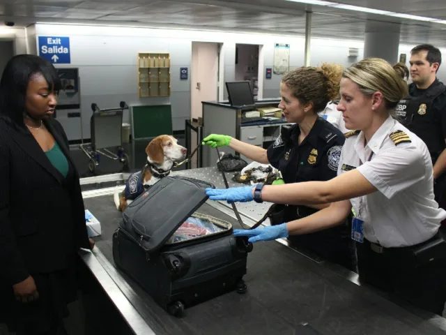 How to Get Through Airport Security Faster: Expert Tips Revealed